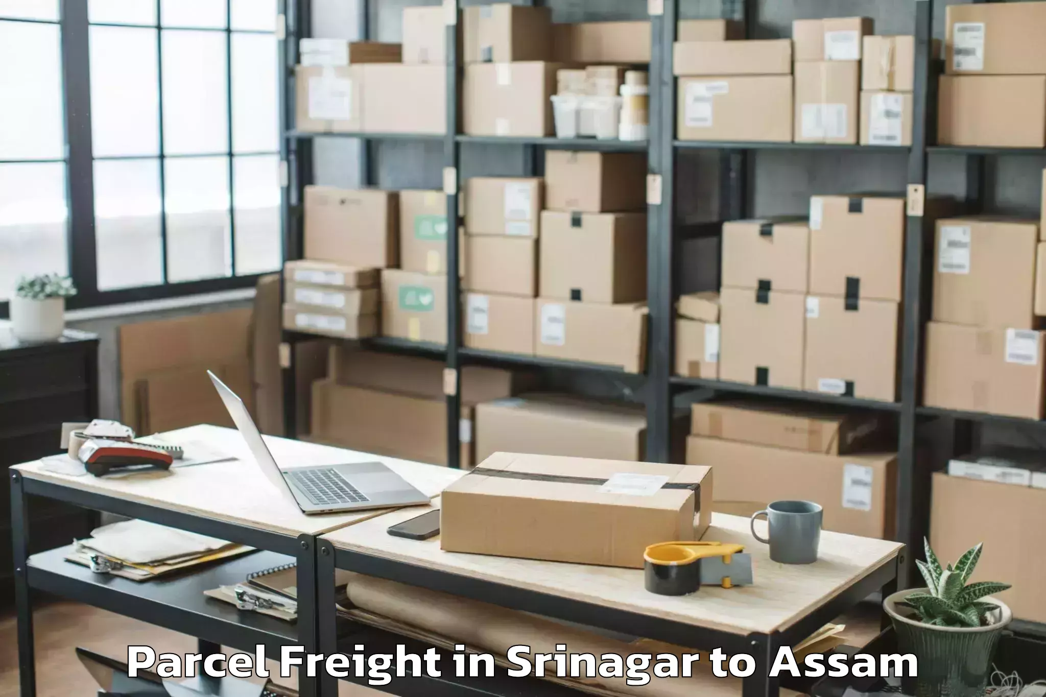 Affordable Srinagar to Guwahati Parcel Freight